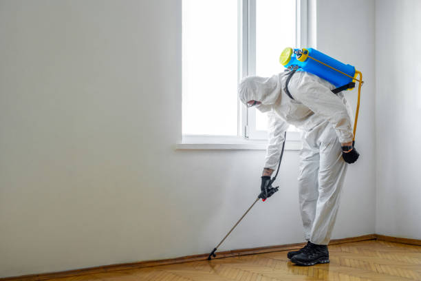 Emergency Pest Control in Ivins, UT